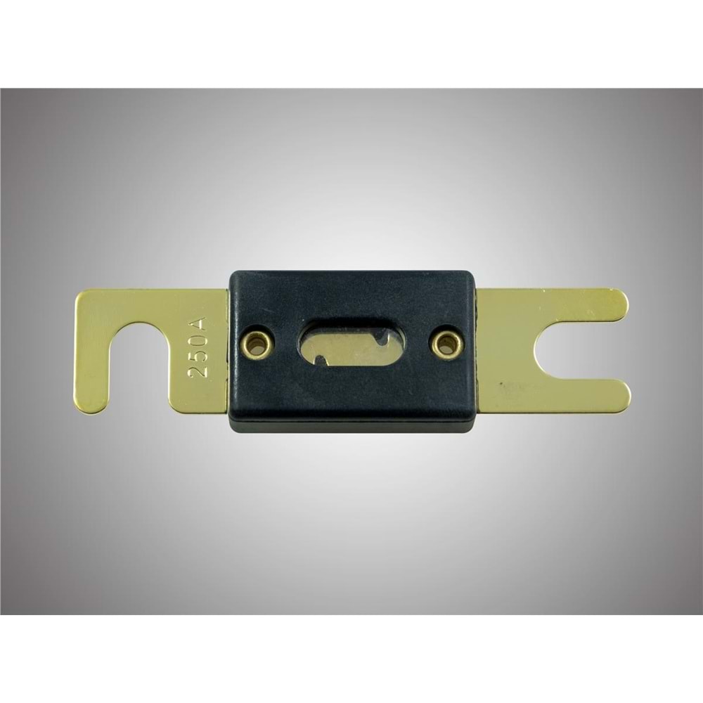 For-X XANL-250A Anl Fuse 10 Adet