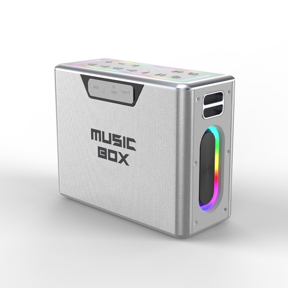 HiFuture MUSİCBOX Bluetooth 100W TWS Çift Mikrofonlu Taşınabilir Karaoke Sistemi Kablosuz Hoparlör Gümüş