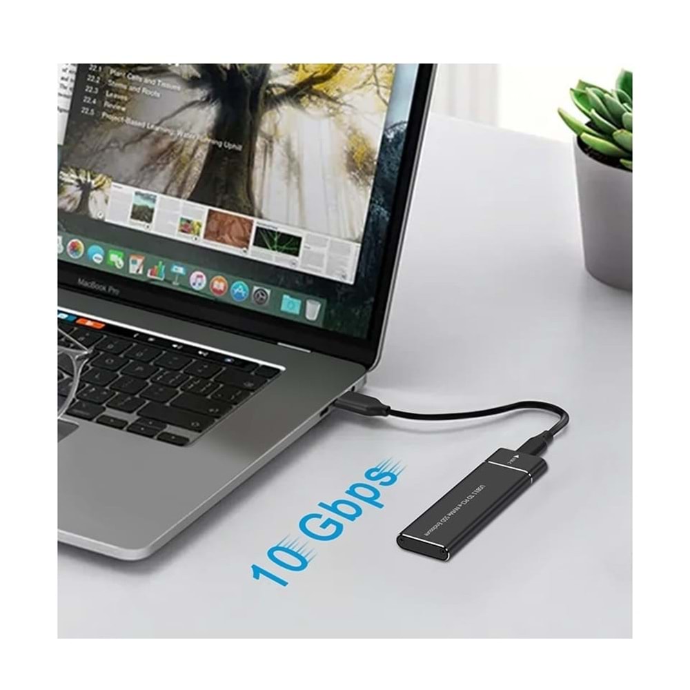 Bawerlink TD-202 USB 3.1 Type-C To Pcıe Express Nvme SSD M.2 M-Key M&b-Key Hard Disk Kutusu