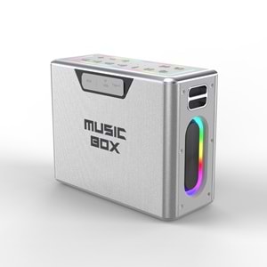 HiFuture MUSİCBOX Bluetooth 100W TWS Çift Mikrofonlu Taşınabilir Karaoke Sistemi Kablosuz Hoparlör Gümüş