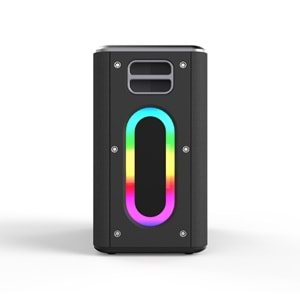 HiFuture MUSİCBOX Bluetooth 100W TWS Çift Mikrofonlu Taşınabilir Karaoke Sistemi Kablosuz Hoparlör Siyah