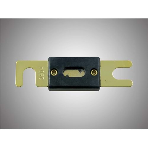 For-X XANL-250A Anl Fuse 10 Adet