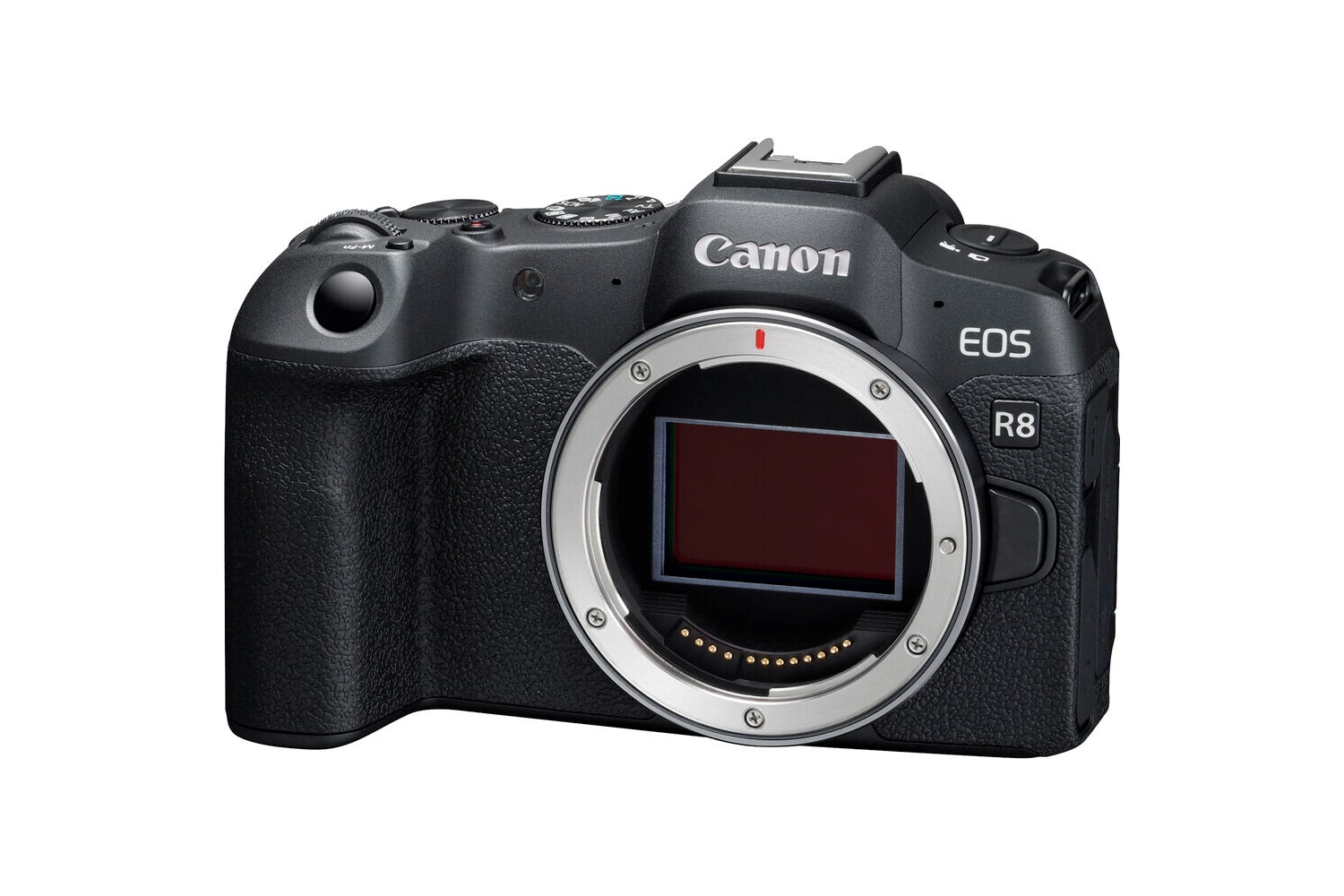 Canon EOS R8 Body Fotoğraf Makinesi (Canon Eurasia)